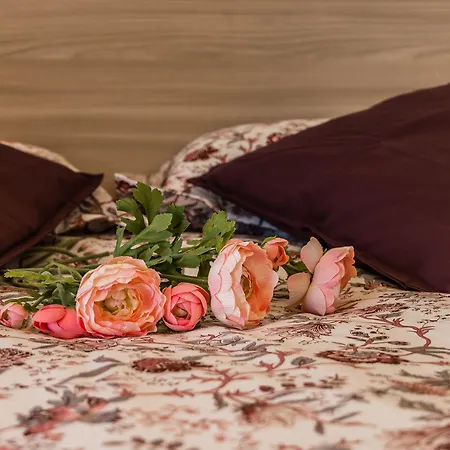Basilica Sant'antonio @100 Meters アパート パドヴァ